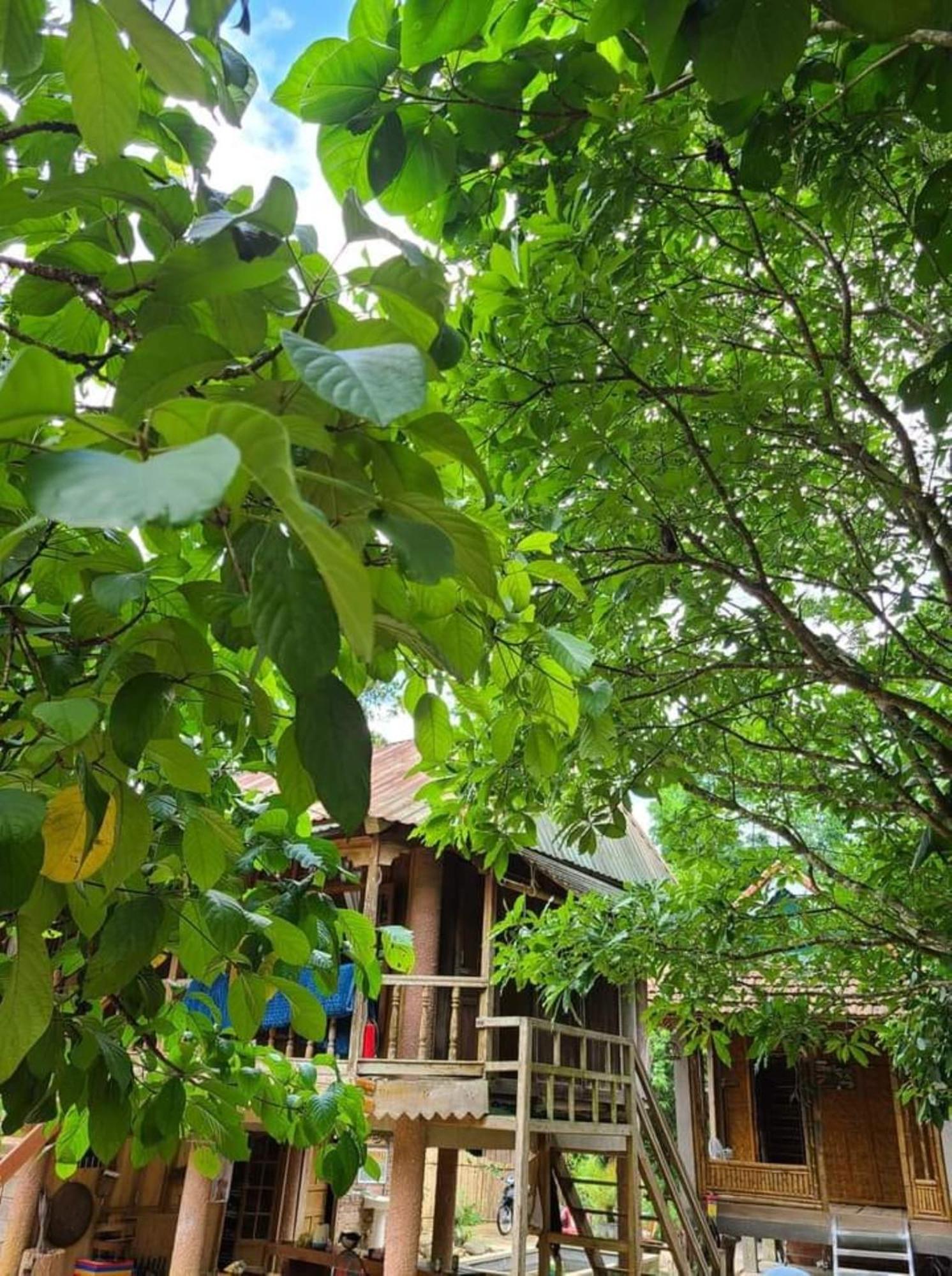 Homestay Ho Son - Thac Anor A Luoi Екстериор снимка