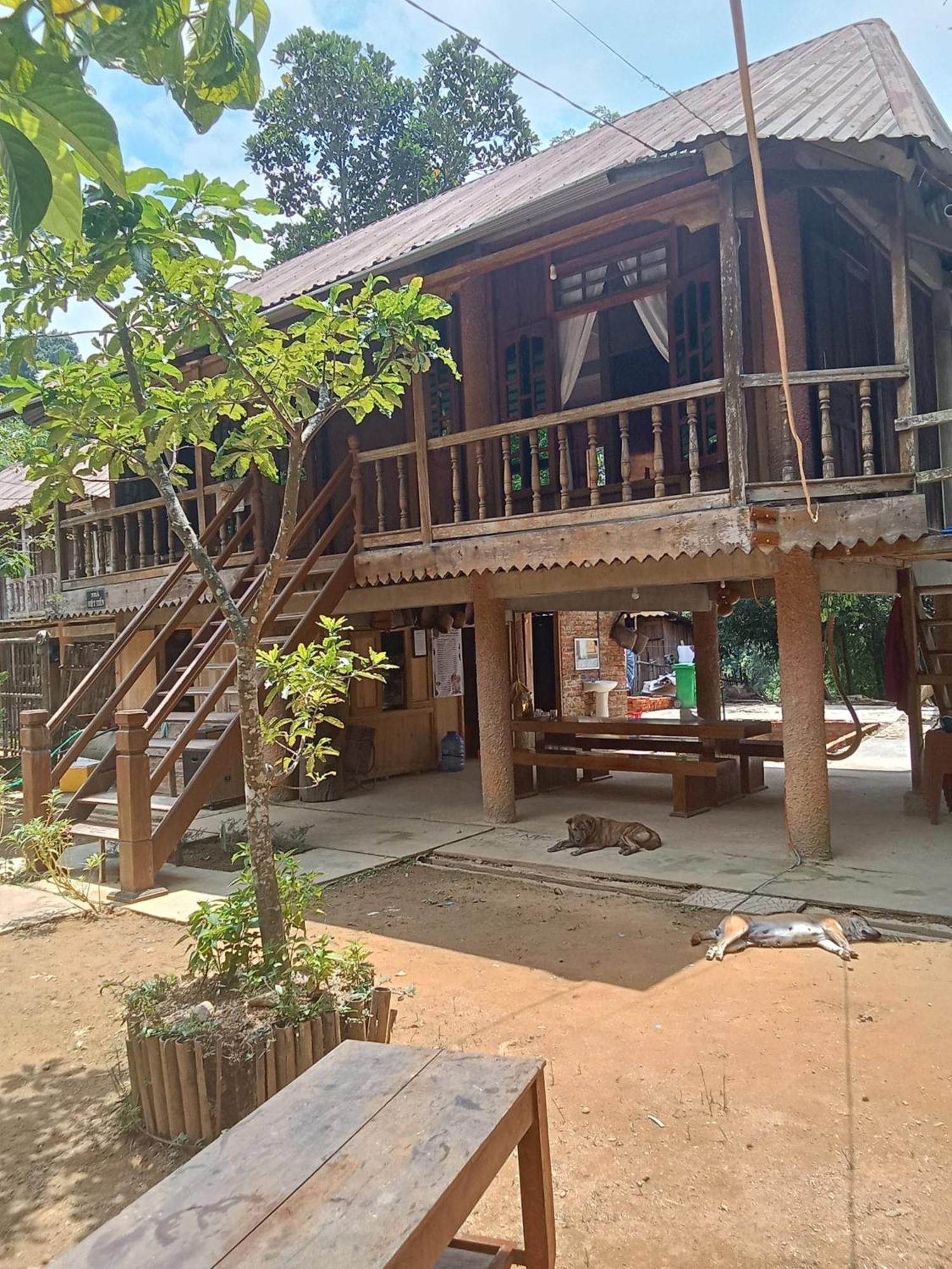 Homestay Ho Son - Thac Anor A Luoi Екстериор снимка